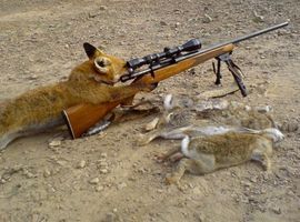 hunterofhunted