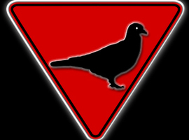 KioryFreeman