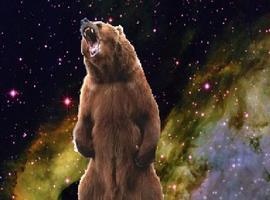 UniverseBear