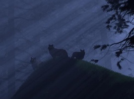 GhostDrakaro