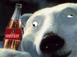 Polarbeer06