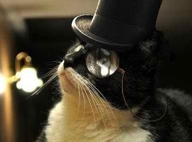FancyKat
