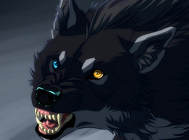 BlackMesaWolfPaws