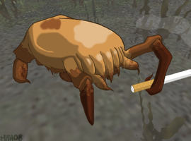 micomodesto001