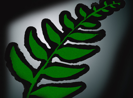 FungusFern
