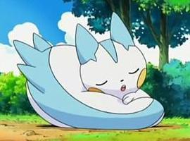 pachikira