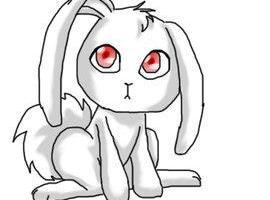 AlgerBunny