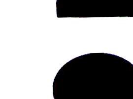 Toxizity