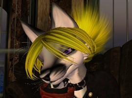 MrFox22