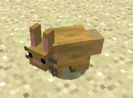 bunnyfaceperson123