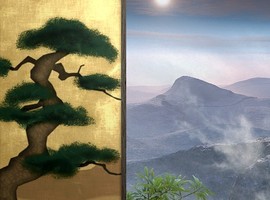 acefirethemes