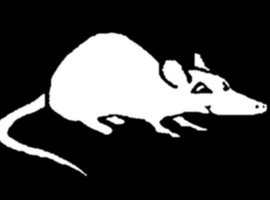MinRat