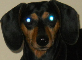 Mooph