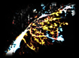 Autumn-Collapse