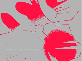 Xxf3nxX
