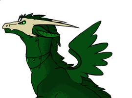 dragonsrule