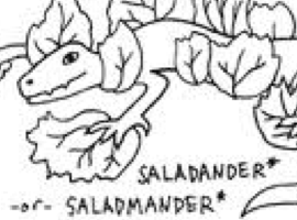 Saladmander
