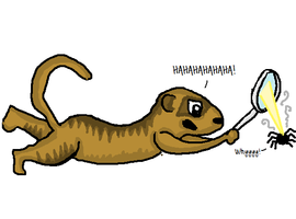 DJ-Meerkat