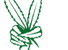 weedhippie69