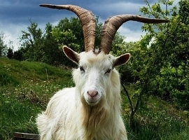 Ramthundar