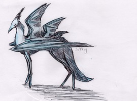 WolfSelkey
