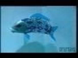 scooglefish