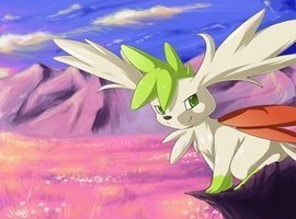 Shaymin247