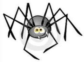 Bazzarspider123
