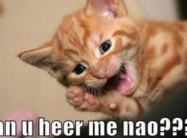 dorothy9998