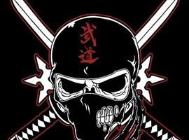 Indestructible-Ninja