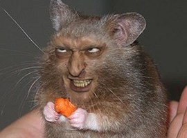 Kabuzaka