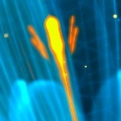 Slinle