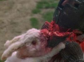 RabbidRabbit
