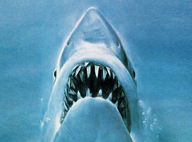 sharkraygun