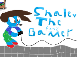 shalevakin