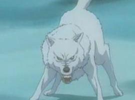 elderwolves