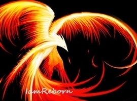 IamReborn