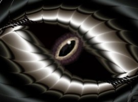 shadowdragonlord355