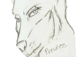Prowress