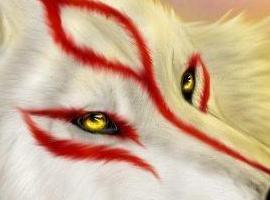 Okami5594