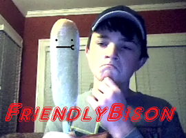 FriendlyBison