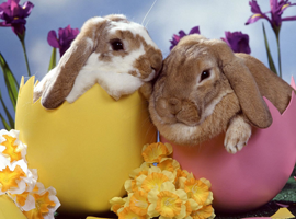 easterBilly
