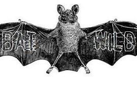 BatWildOfficial