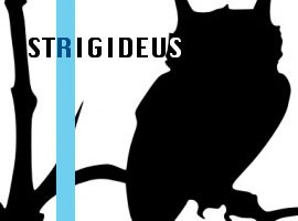 Strigideus