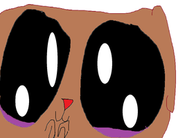 Nerdbuscus