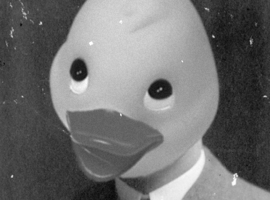 DuckMan720
