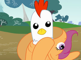 chickenpiez