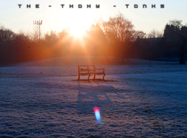 TheThokyTonks