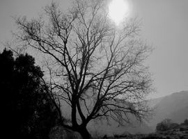 RockBlood