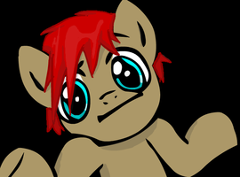 AveragePony